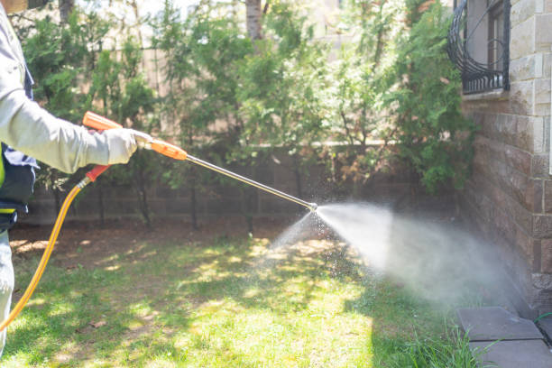 Pest Control Cost in Brookshire, TX